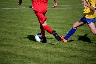 开云体育在线-LPL多个队伍重组计划曝光转会期极度混乱，lpl战队转会期